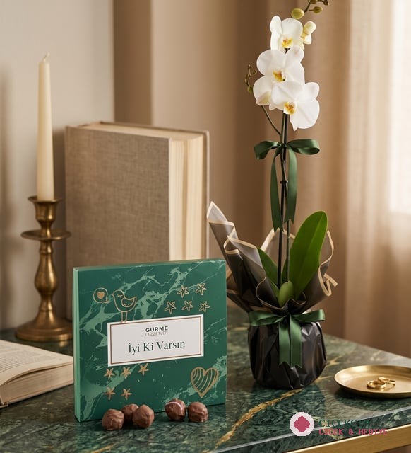 Bukette Tekli Orkide ve İyi Ki Varsın Gurme Lezzetler